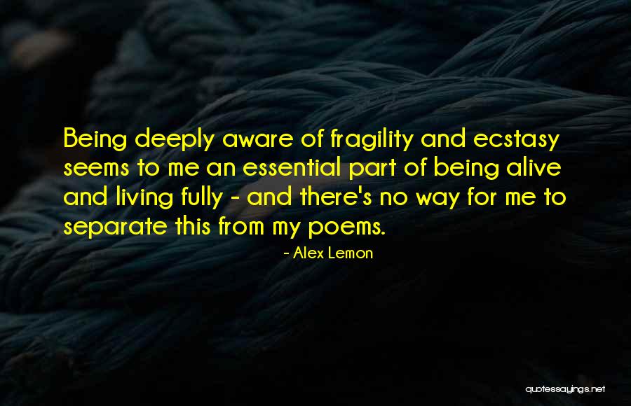 Branquinho Guloso Quotes By Alex Lemon Branquinho Guloso Quotes By Alex Lemon