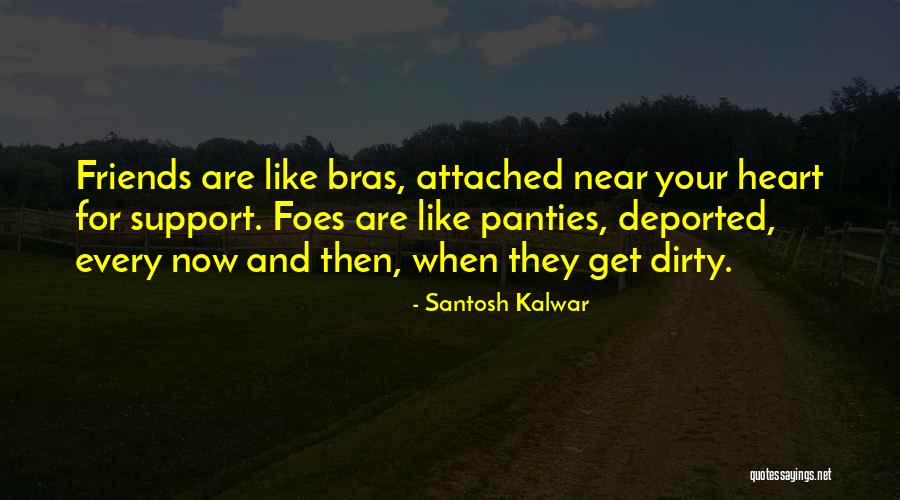 Bras And Panties Quotes By Santosh Kalwar