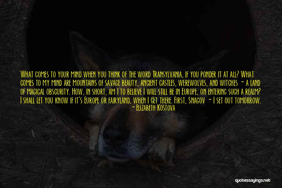 Brashness Synonym Quotes By Elizabeth Kostova Brashness Synonym Quotes By Elizabeth Kostova