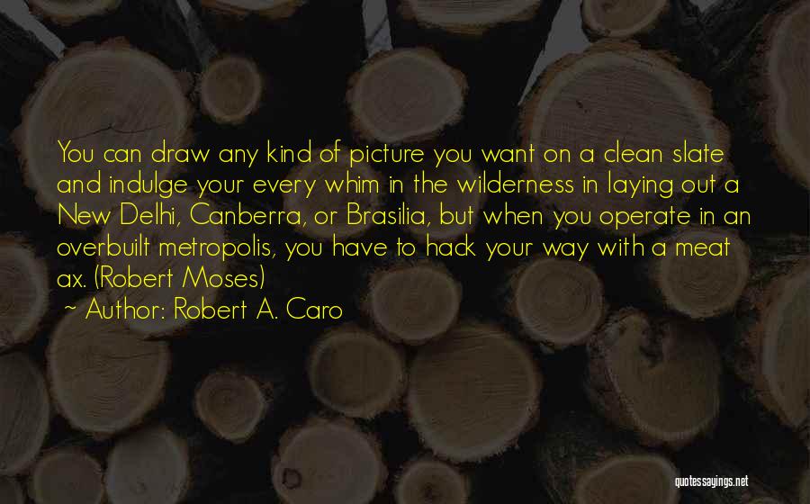 Brasilia Quotes By Robert A. Caro