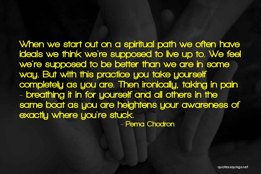 Brask Inc Quotes By Pema Chodron Brask Inc Quotes By Pema Chodron