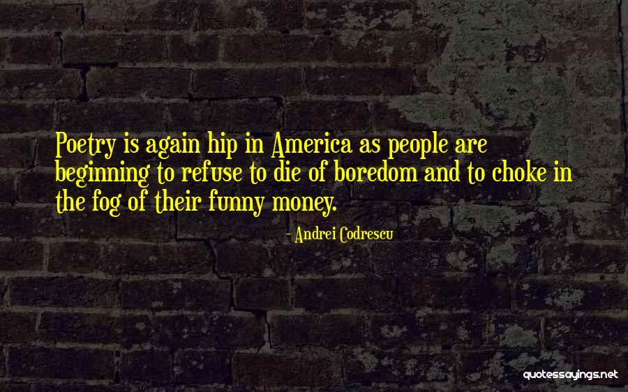 Brasolin Quotes By Andrei Codrescu Brasolin Quotes By Andrei Codrescu