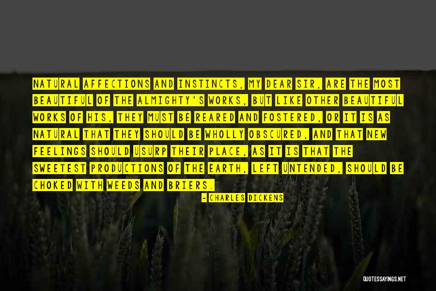 Brassaiopsis Quotes By Charles Dickens Brassaiopsis Quotes By Charles Dickens