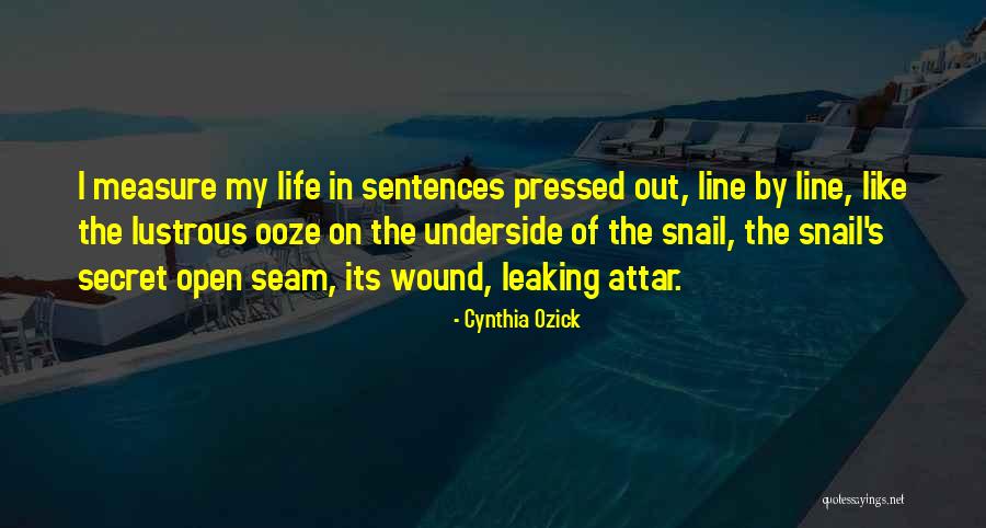 Brassens Lauvergnat Quotes By Cynthia Ozick Brassens Lauvergnat Quotes By Cynthia Ozick