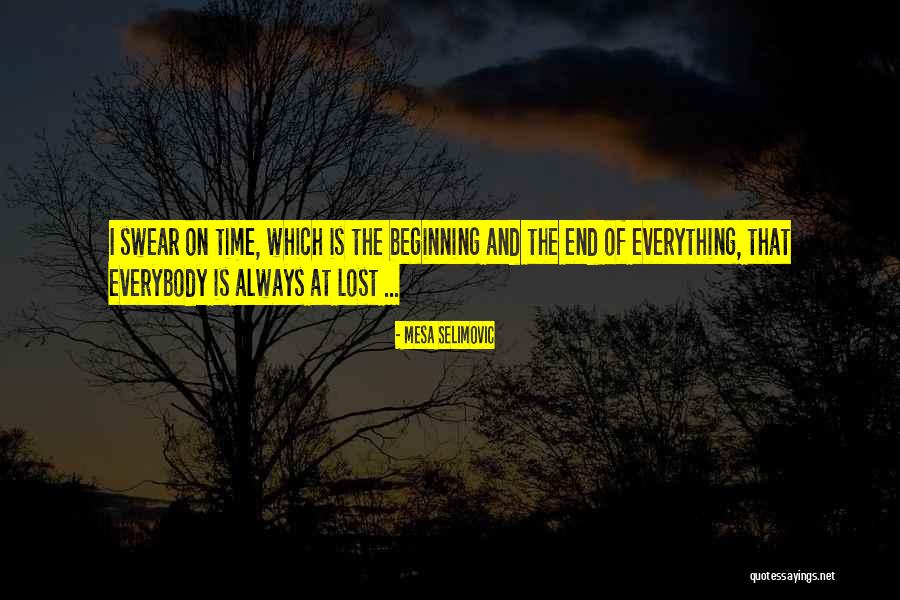Brasso Quotes By Mesa Selimovic Brasso Quotes By Mesa Selimovic