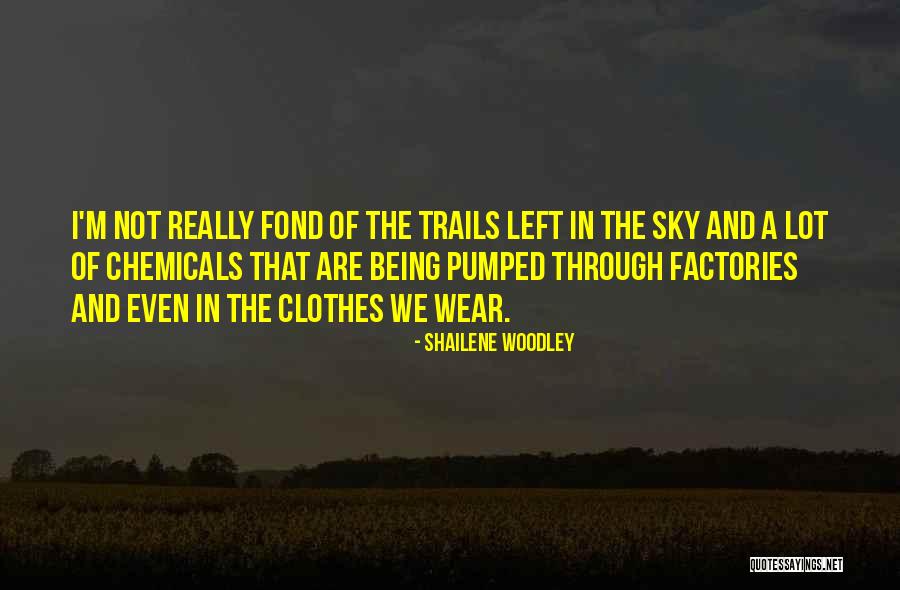 Brateman Robert Quotes By Shailene Woodley Brateman Robert Quotes By Shailene Woodley