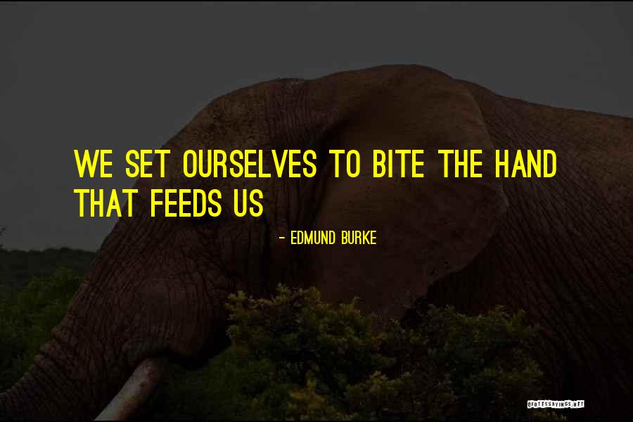 Brattice Quotes By Edmund Burke Brattice Quotes By Edmund Burke