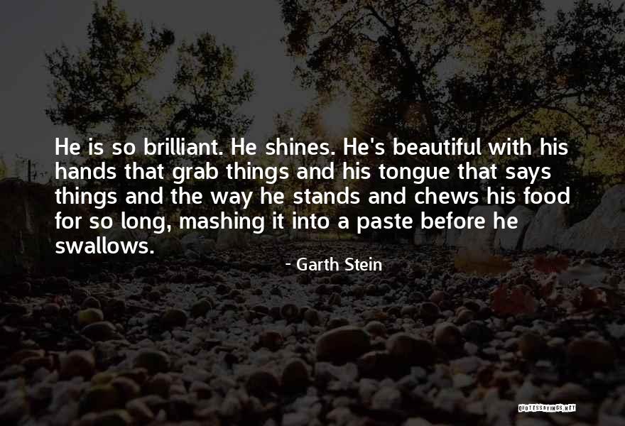 Brattishly Quotes By Garth Stein Brattishly Quotes By Garth Stein