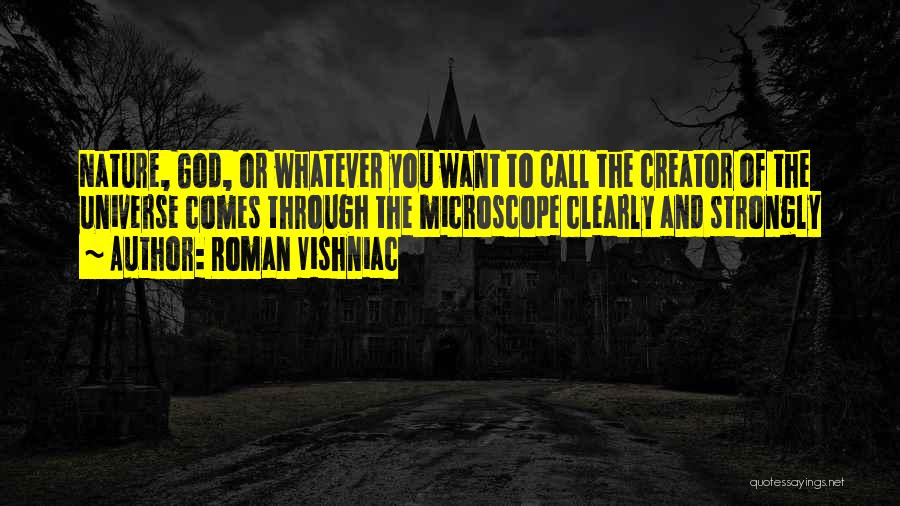 Bratul Borcea Quotes By Roman Vishniac