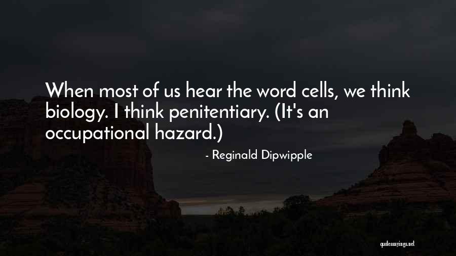 Braukmann 80 170 Quotes By Reginald Dipwipple Braukmann 80 170 Quotes By Reginald Dipwipple