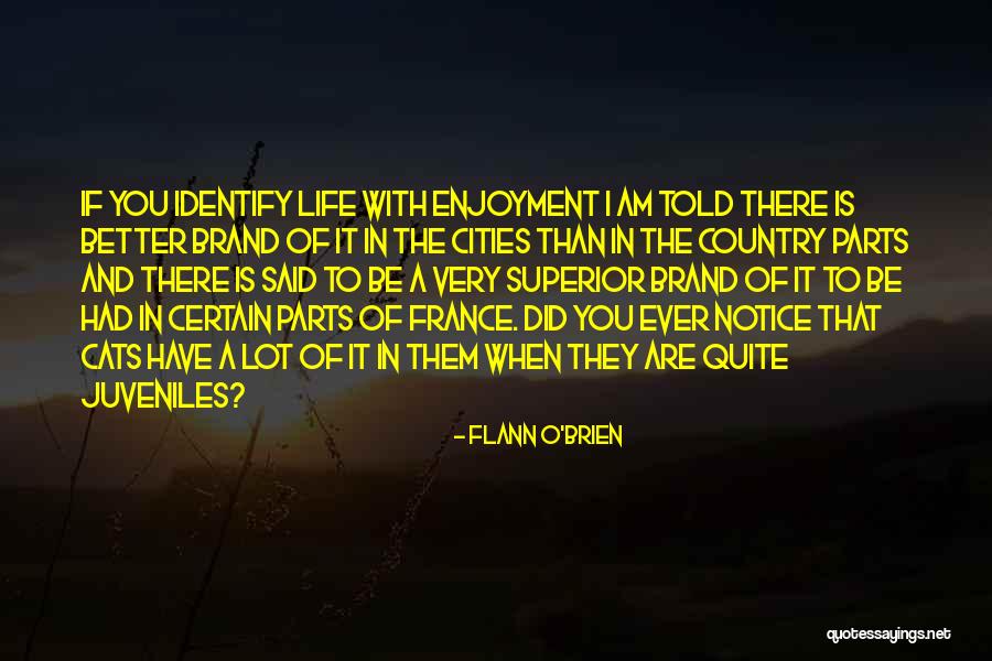 Braunberger Ranch Quotes By Flann O'Brien Braunberger Ranch Quotes By Flann O'Brien