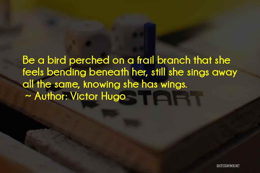 Braund Antenna Quotes By Victor Hugo