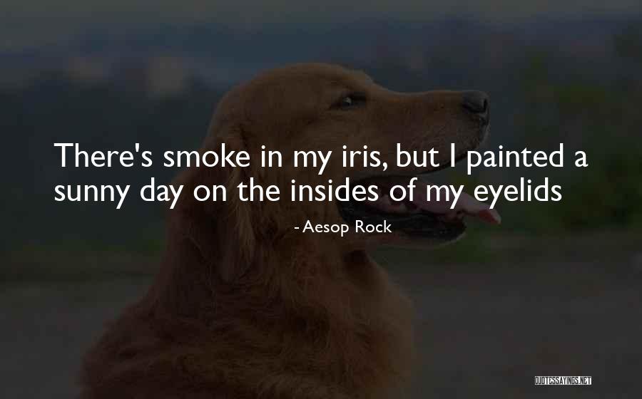 Brauneisen Quotes By Aesop Rock Brauneisen Quotes By Aesop Rock