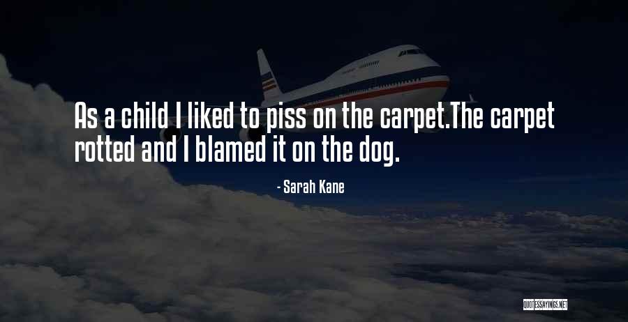 Braunlich Lievens Quotes By Sarah Kane Braunlich Lievens Quotes By Sarah Kane