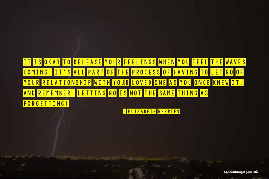 Braunouhi Quotes By Elizabeth Berrien Braunouhi Quotes By Elizabeth Berrien