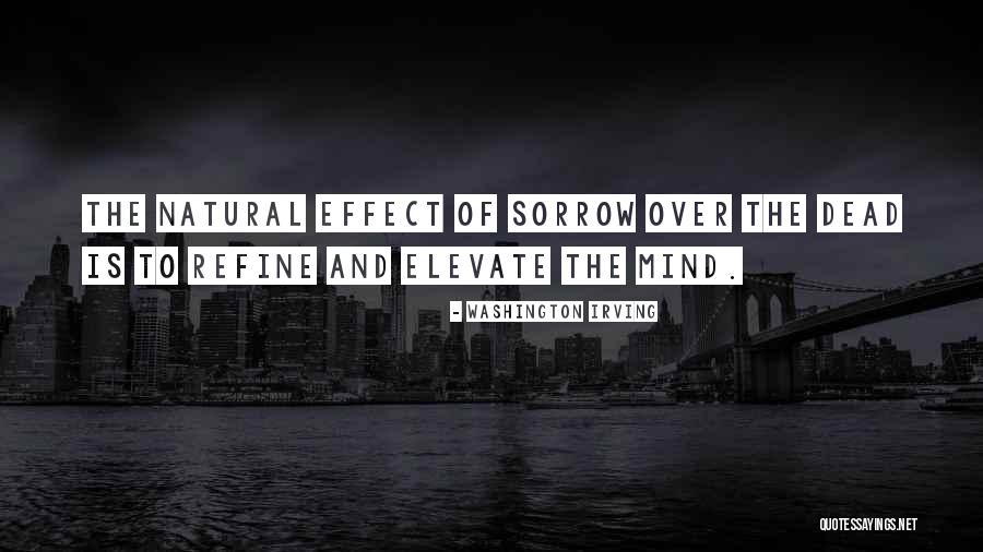 Braunouhi Quotes By Washington Irving Braunouhi Quotes By Washington Irving