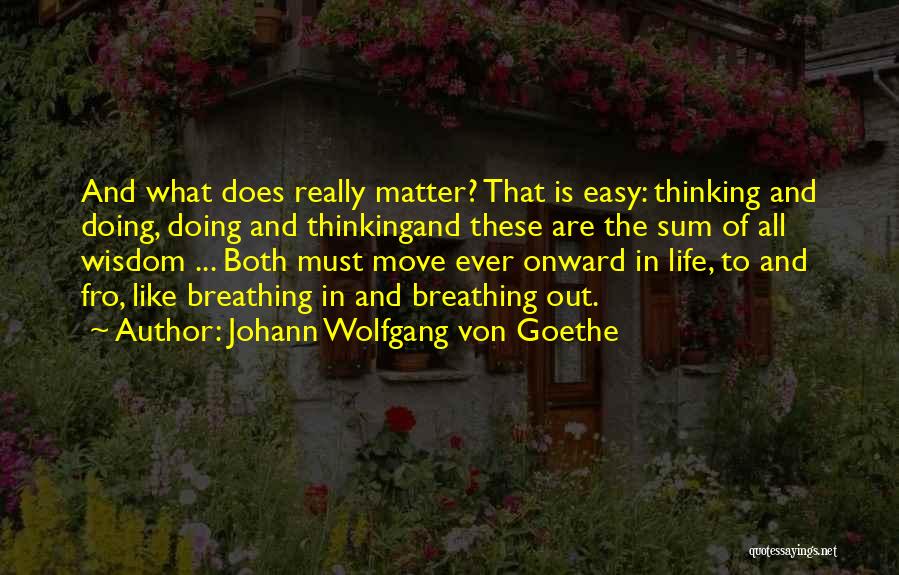 Braunsteiner Josef Quotes By Johann Wolfgang Von Goethe