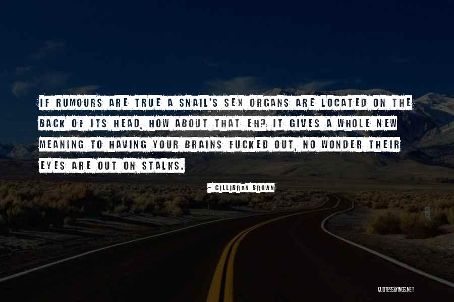 Braustasi Quotes By Gillibran Brown Braustasi Quotes By Gillibran Brown