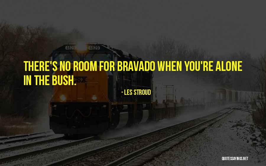 Bravado Quotes By Les Stroud