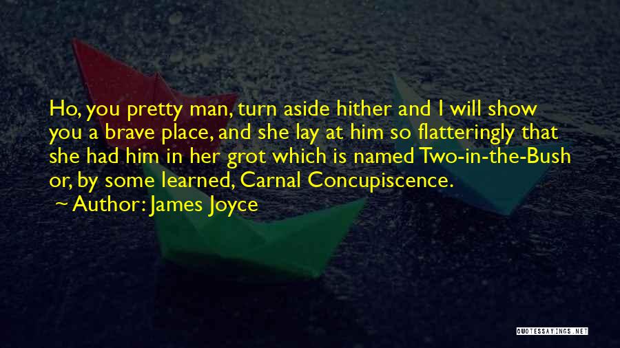 Brave Man Quotes By James Joyce