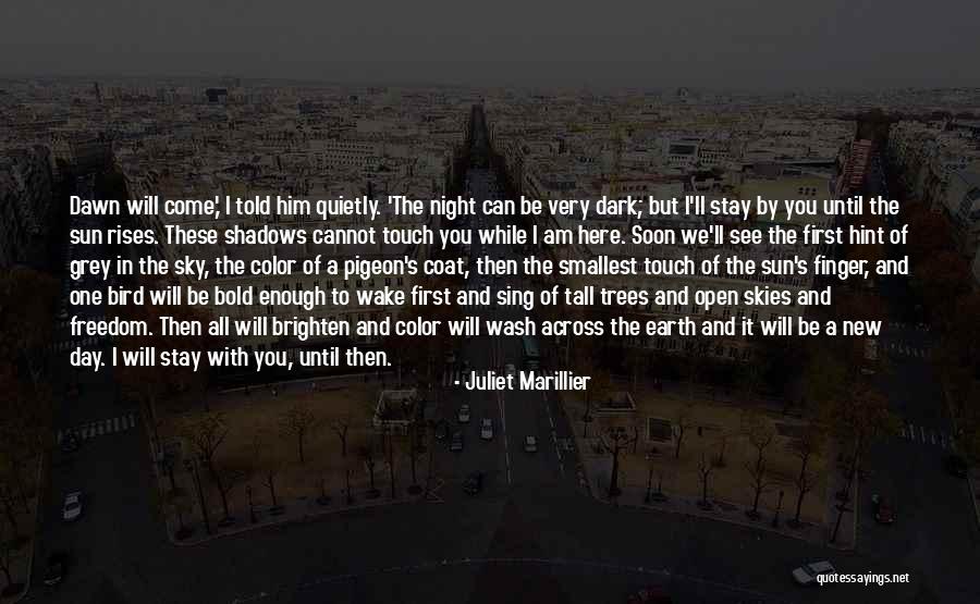 Braveboy Report Quotes By Juliet Marillier Braveboy Report Quotes By Juliet Marillier