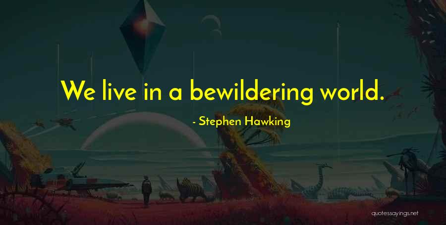 Braveboy Report Quotes By Stephen Hawking Braveboy Report Quotes By Stephen Hawking