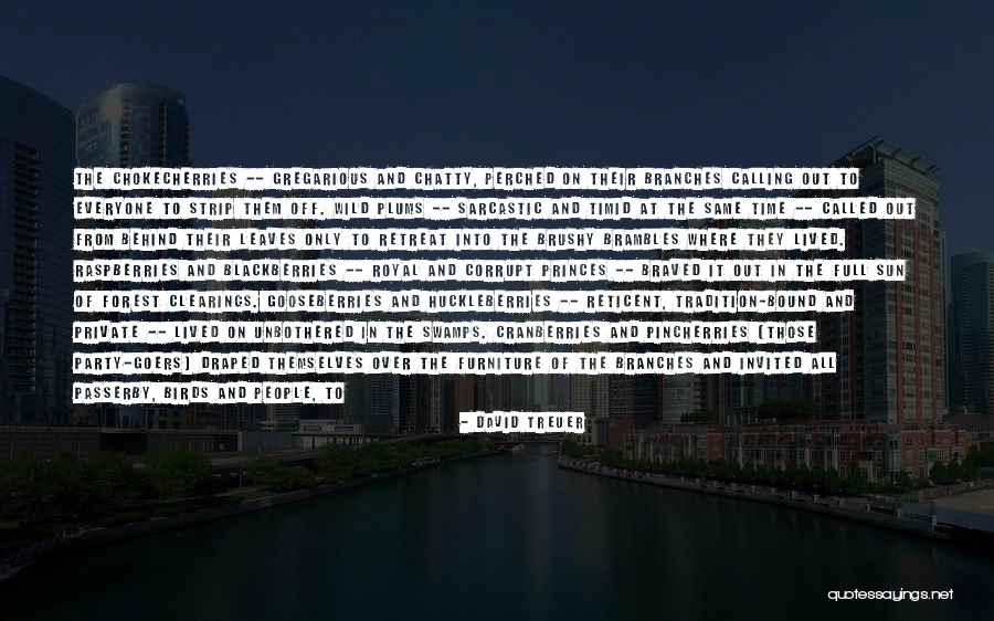 Braved Quotes By David Treuer Braved Quotes By David Treuer