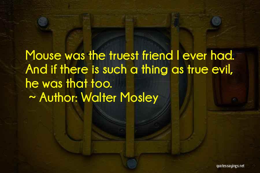 Braveheart Stephen Quotes By Walter Mosley