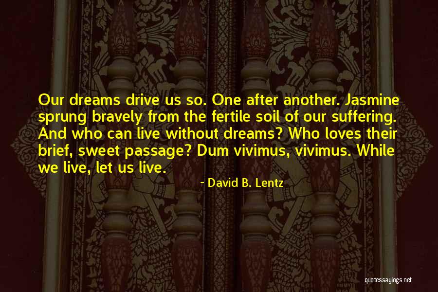 Bravely Quotes By David B. Lentz Bravely Quotes By David B. Lentz