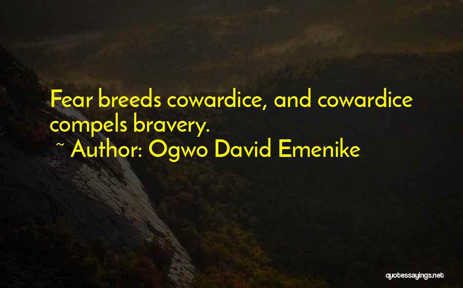 Bravery And Heroism Quotes By Ogwo David Emenike