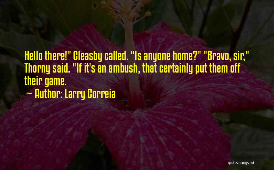 Bravo Quotes By Larry Correia