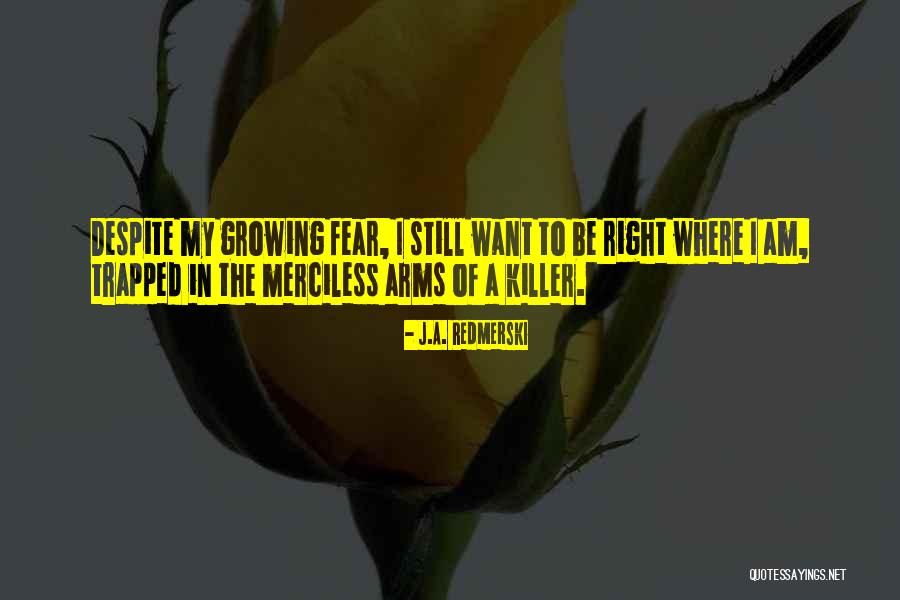 Brawlers Tft Quotes By J.A. Redmerski Brawlers Tft Quotes By J.A. Redmerski