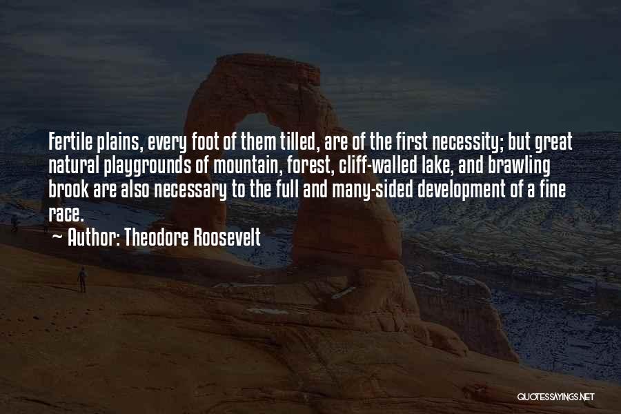 Brawling Quotes By Theodore Roosevelt