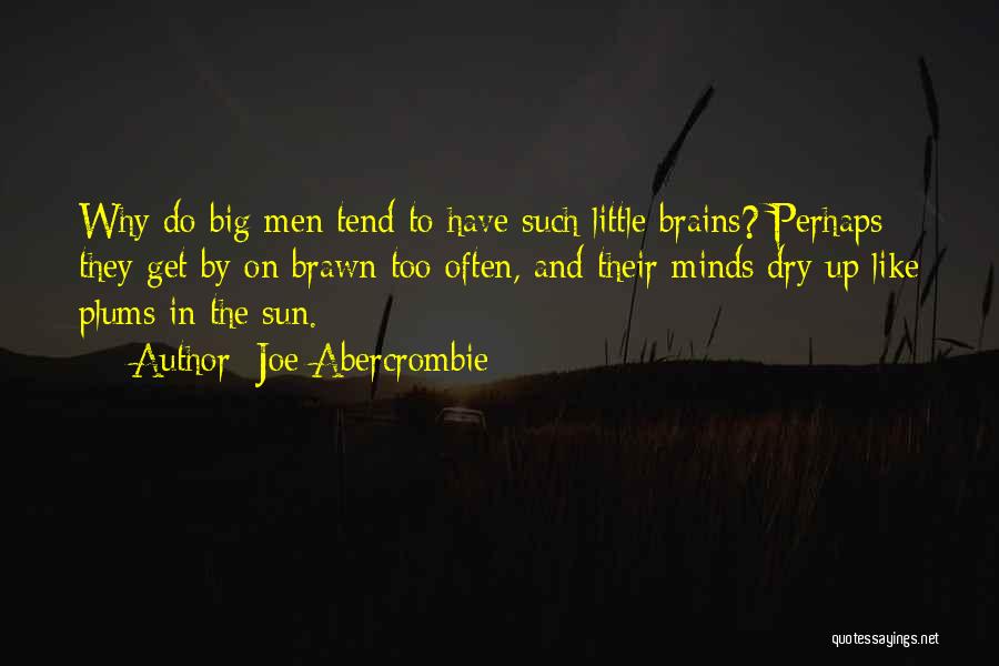 Brawn Over Brains Quotes By Joe Abercrombie