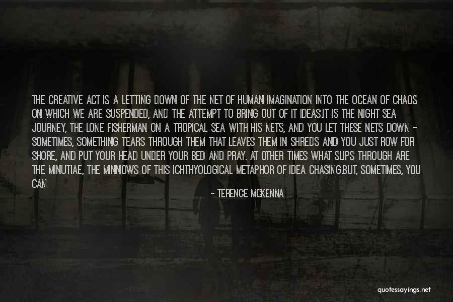 Brayan Toys Quotes By Terence McKenna Brayan Toys Quotes By Terence McKenna