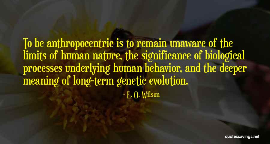 Brazelton Institute Quotes By E. O. Wilson Brazelton Institute Quotes By E. O. Wilson