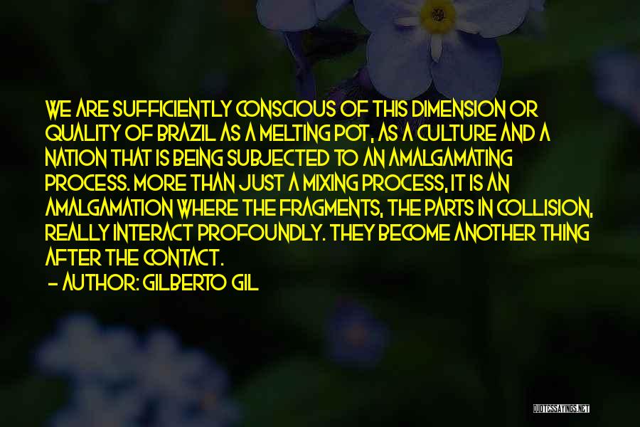 Brazil Culture Quotes By Gilberto Gil