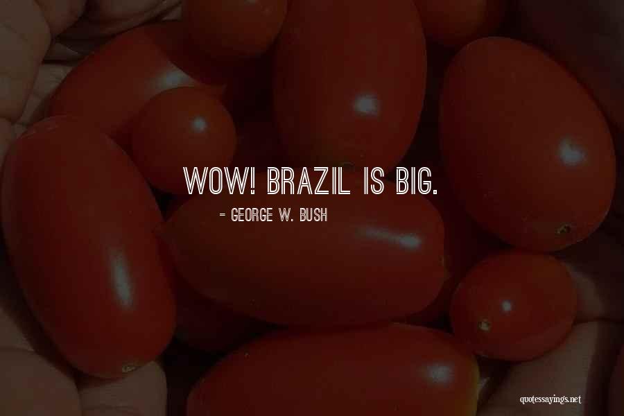 Brazil Quotes By George W. Bush Brazil Quotes By George W. Bush