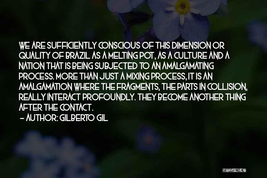 Brazil Quotes By Gilberto Gil