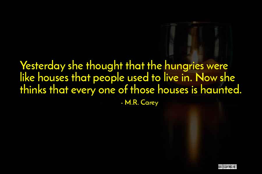 Brazil Sam Lowry Quotes By M.R. Carey Brazil Sam Lowry Quotes By M.R. Carey