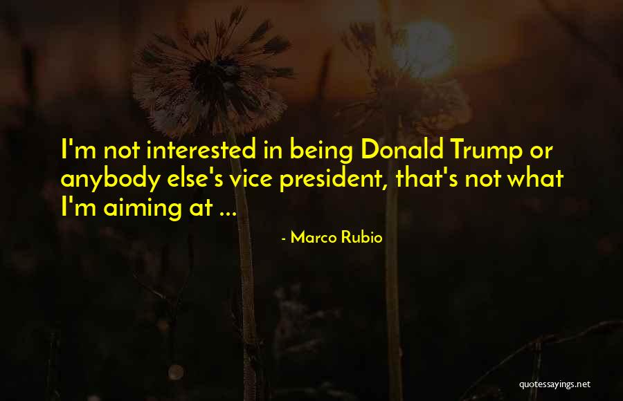 Brazy Tbh Quotes By Marco Rubio Brazy Tbh Quotes By Marco Rubio