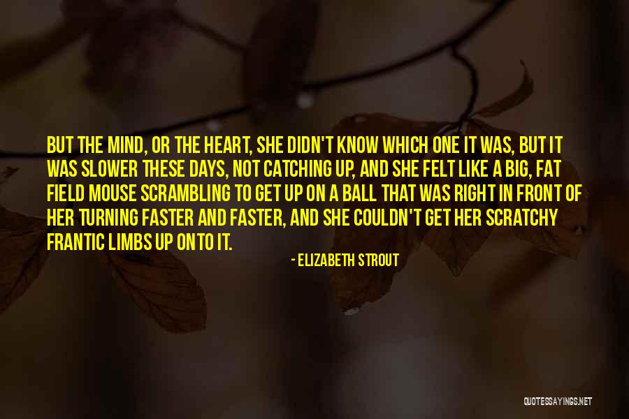 Brdaric Excavating Quotes By Elizabeth Strout Brdaric Excavating Quotes By Elizabeth Strout