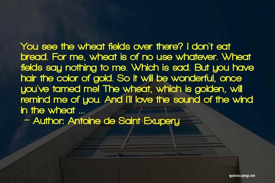 Bread And Friendship Quotes By Antoine De Saint-Exupery