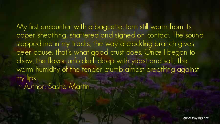 Bread Baking Quotes By Sasha Martin