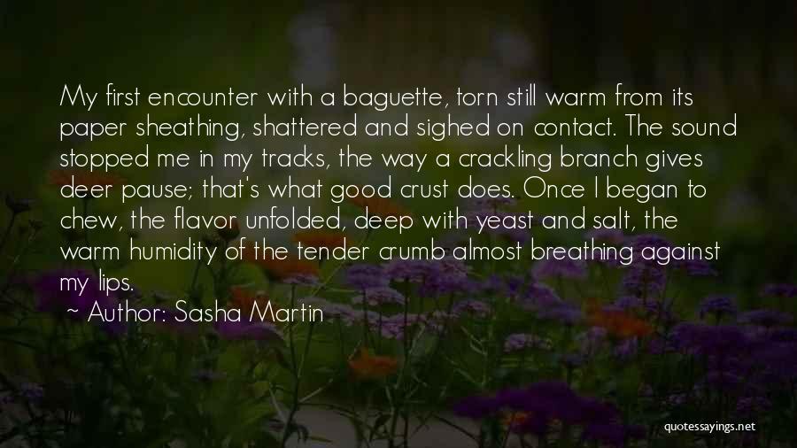 Bread Crumb Quotes By Sasha Martin