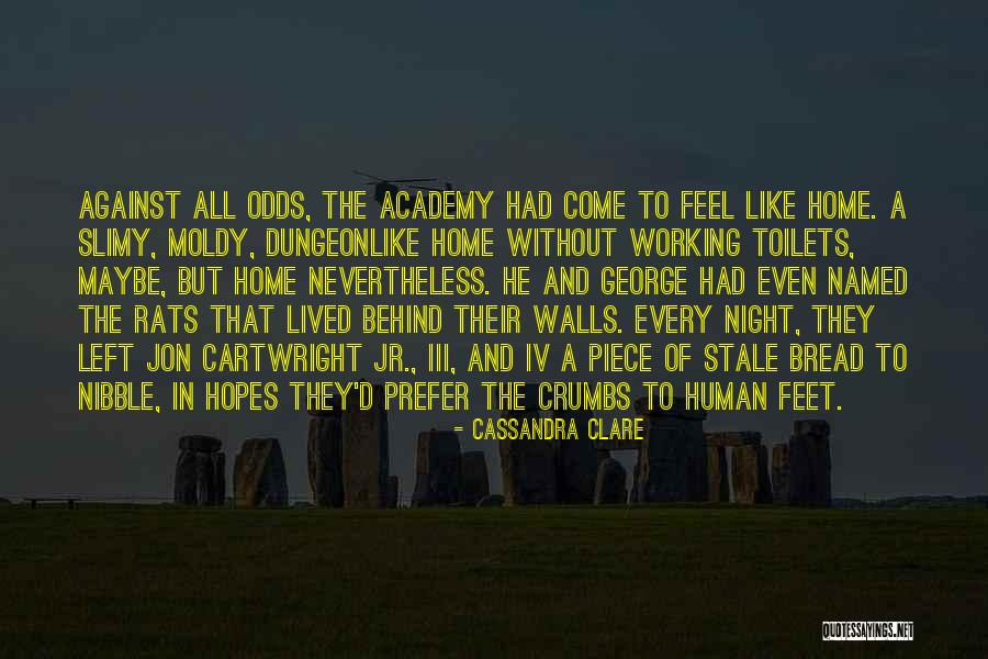 Bread Crumbs Quotes By Cassandra Clare Bread Crumbs Quotes By Cassandra Clare