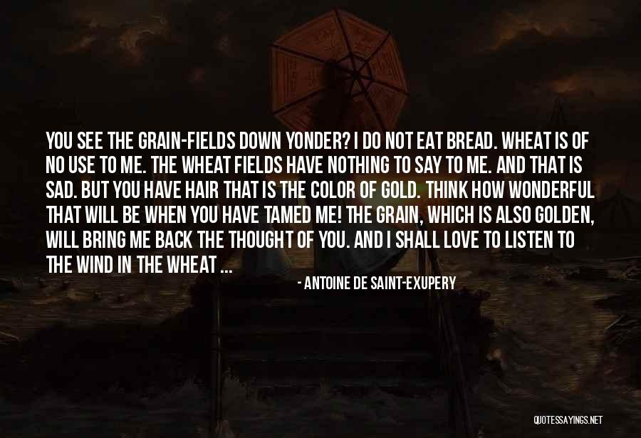 Bread Love Quotes By Antoine De Saint-Exupery