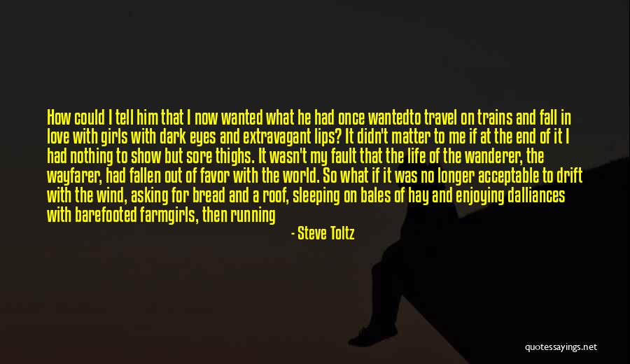 Bread Love Quotes By Steve Toltz