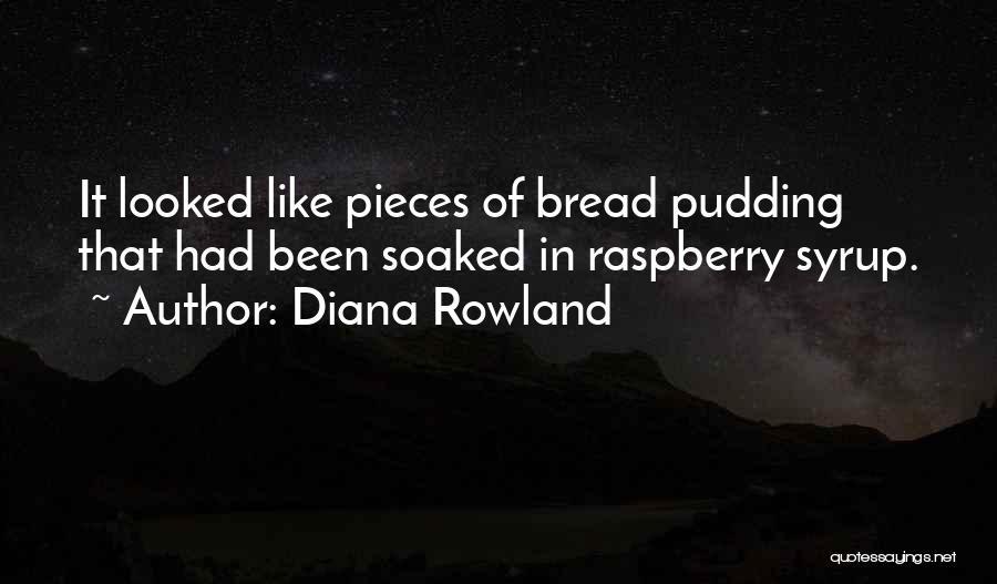 Bread Pudding Quotes By Diana Rowland