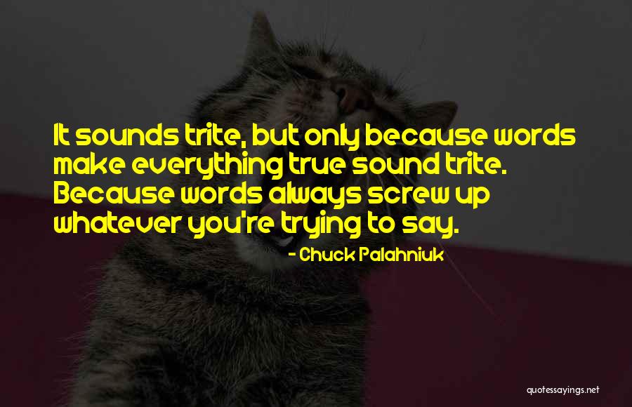 Breadwinner Movie Quotes By Chuck Palahniuk Breadwinner Movie Quotes By Chuck Palahniuk